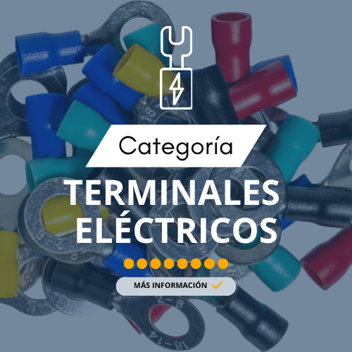 Inicio